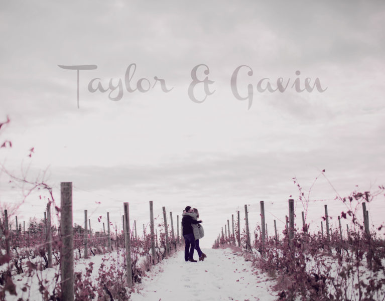 Gavin and Taylor’s Proposal at Chateau Grand Traverse in Traverse City, Michigan